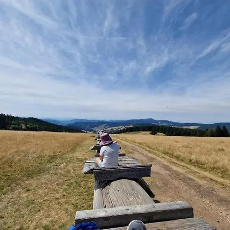 Bergloft * Todtnau
