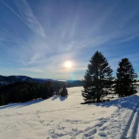 Bergloft Apartamento *