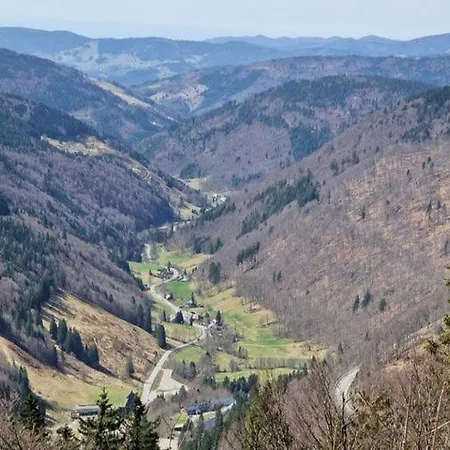 Apartamento Bergloft Todtnau