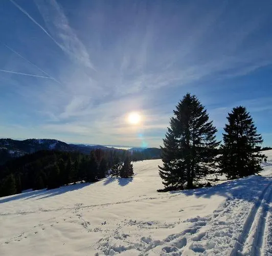 Bergloft Appartement *