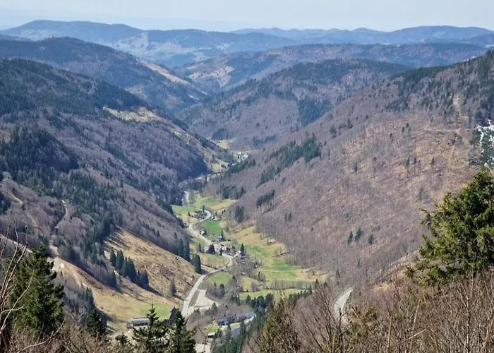 Appartement Bergloft Todtnau